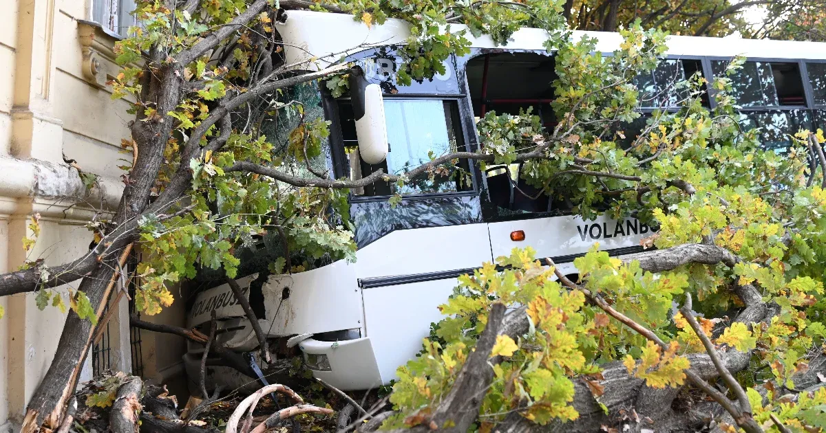A vezető rosszulléte és eszméletvesztése okozta a szolnoki buszbalesetet