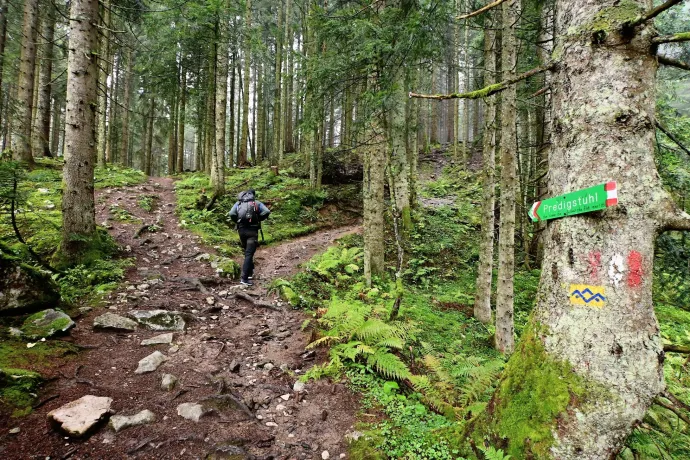 Kaptatás és csúcskönyv a Predigstuhlon – Fotó: Tenczer Gábor / Telex