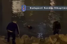 Egy 37 éves férfi betört egy V. kerületi házba, aztán mikor megjelentek a rendőrök, a Dunába menekült