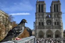 Dolgozott a Notre-Dame újjáépítésén, engedélyezték az ácsnak, hogy ott nősülhessen meg