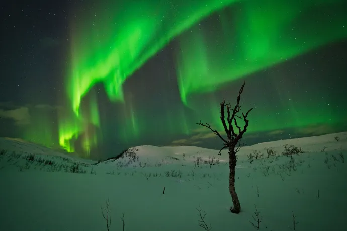 Fotó: Martin Ferenc