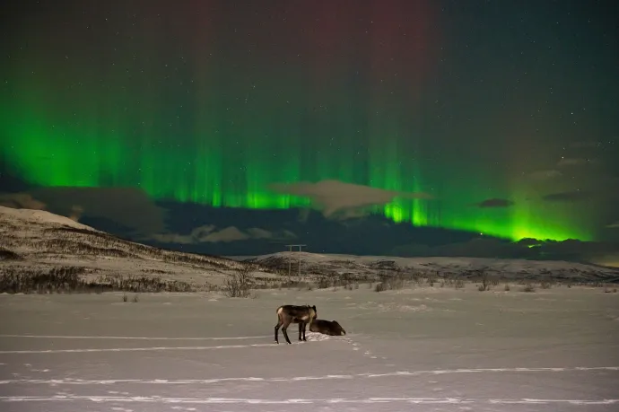 Fotó: Martin Ferenc