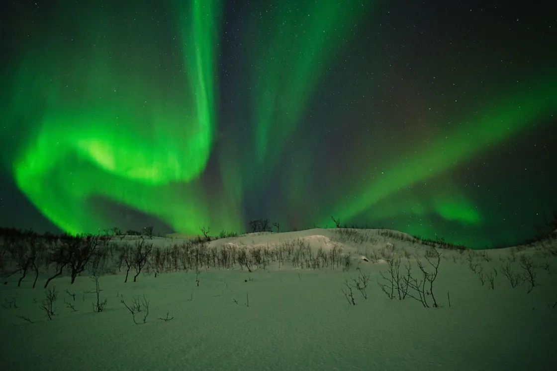 Sátorral, hótalppal és fényképezőgéppel a sarkvidéki vadonban