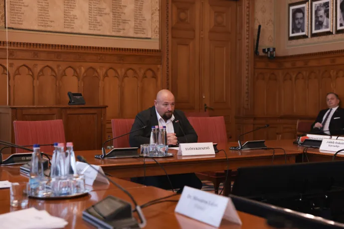 Ander Balázs – Fotó: Hevesi-Szabó Lujza / Telex