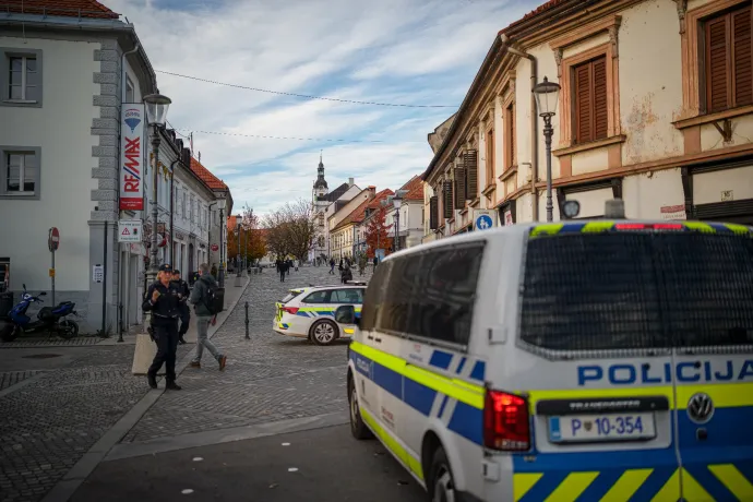 Egy emberölés két miniszter lemondásához vezetett, de szlovén tüntetők ennél is többet követelnek