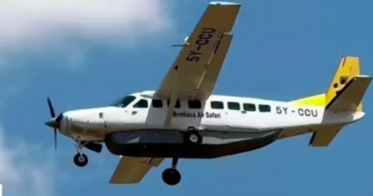 A légitársaság elnöke szerint jó állapotban volt a Kenyában nyolc magyarral lezuhant gép