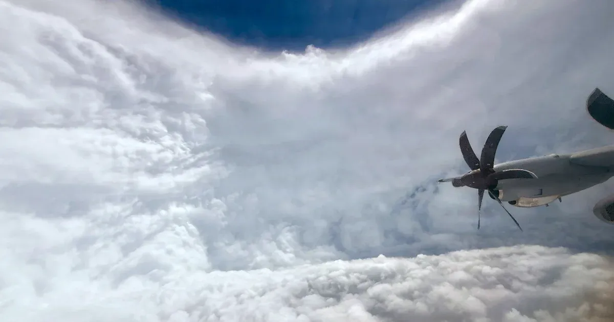 Madarakat ejtett csapdába a Melissa hurrikán