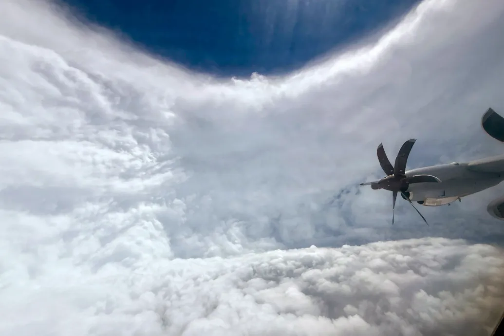 Madarakat ejtett csapdába a Melissa hurrikán