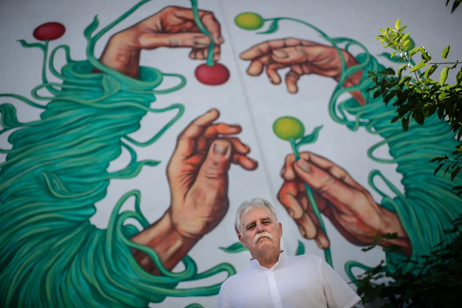 Porcsin Zsolt – Fotó: Bődey János / Telex