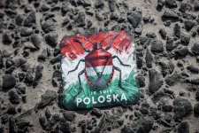 Jogállamisági index: Brazília is előzi Magyarországot a 2025-ös rangsorban