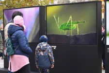 330-380 ezer nő kaphatna adómentességet Lázár János ígérete alapján