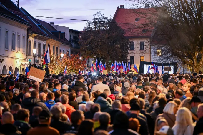 Részt vevők a tiltakozáson Novo Mesto városában, 2025. október 28-án – Fotó: Jure Makovec / AFP
