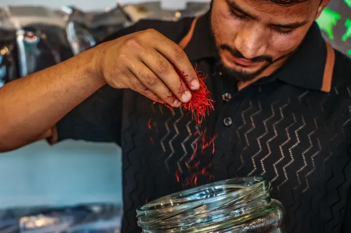 A világ legdrágább fűszeréből akár tízmillió forintba is kerülhet egy kiló