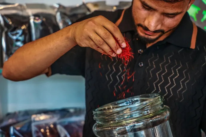 A világ legdrágább fűszeréből akár tízmillió forintba is kerülhet egy kiló