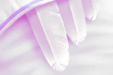 Garaczi László: Antibigyó