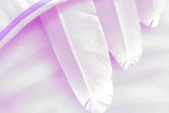 Garaczi László: Antibigyó