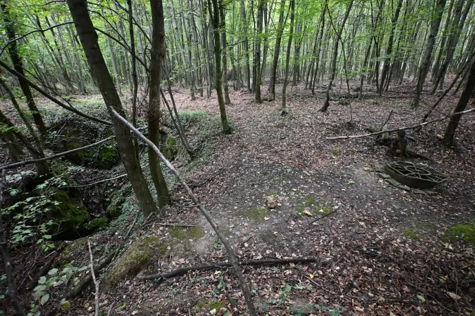 A Csengő-zsomboly, a Csengő-hegyi kilátó jelen formája és a Kőris-hegy (a távolban) – Fotó: Tenczer Gábor / Telex