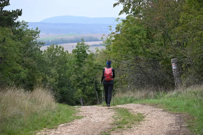 A Csengő-zsomboly, a Csengő-hegyi kilátó jelen formája és a Kőris-hegy (a távolban) – Fotó: Tenczer Gábor / Telex