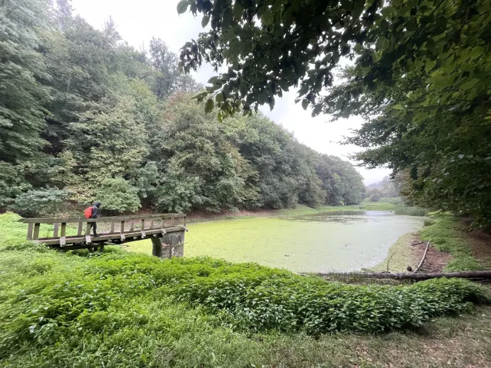 Alsóperepuszta és az egyik eplényi tó – Fotó: Tenczer Gábor / Telex