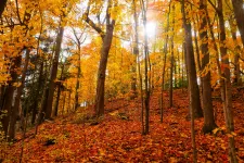 Akár 24 fok is lehet Mindenszentekkor