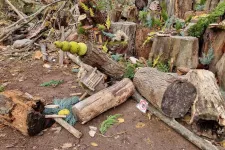 Ismeretlenek ripityára törték a népszerű Manófalvát a Római-parton