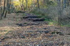 Annyira kevés eső esik, hogy teljesen kiszáradt a Szalajka-patak és a Fátyol-vízesés