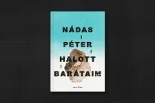 Az olvasó tengerérzése, avagy átúszni egy öblön