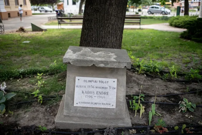 The Hitler oaks – some of the few such trees left in world are national treasures of Hajdú-Bihar County