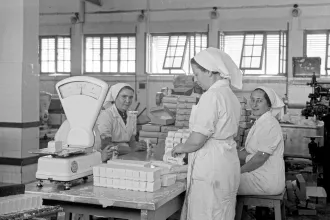 A halál hidegében érlelt borzalomnak tartotta a tejlobbi a margarint, és addig harcolt, míg az rózsaszín nem lett