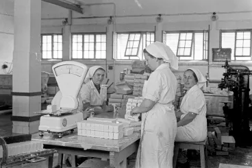 A halál hidegében érlelt borzalomnak tartotta a tejlobbi a margarint, és addig harcolt, míg az rózsaszín nem lett