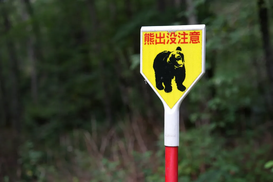 Már katonákat is bevetnek Japánban, hogy megfékezzék a halálos medvetámadásokat