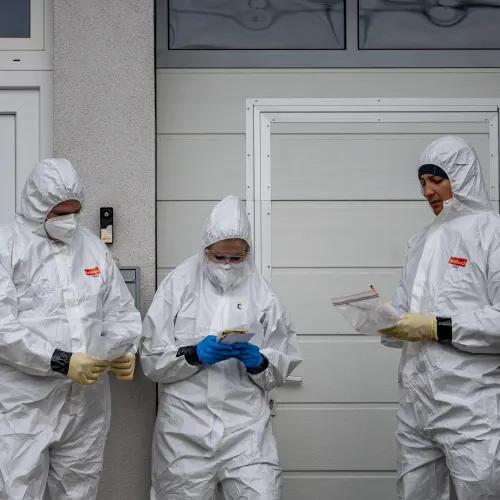 Fact-check: Tényleg lehet drónról megfertőzni egy marhatelepet ragadós száj- és körömfájással?