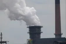 Az Európai Unió felpuhította a klímacéljait, más országok eredményeit számíthatják be maguknak