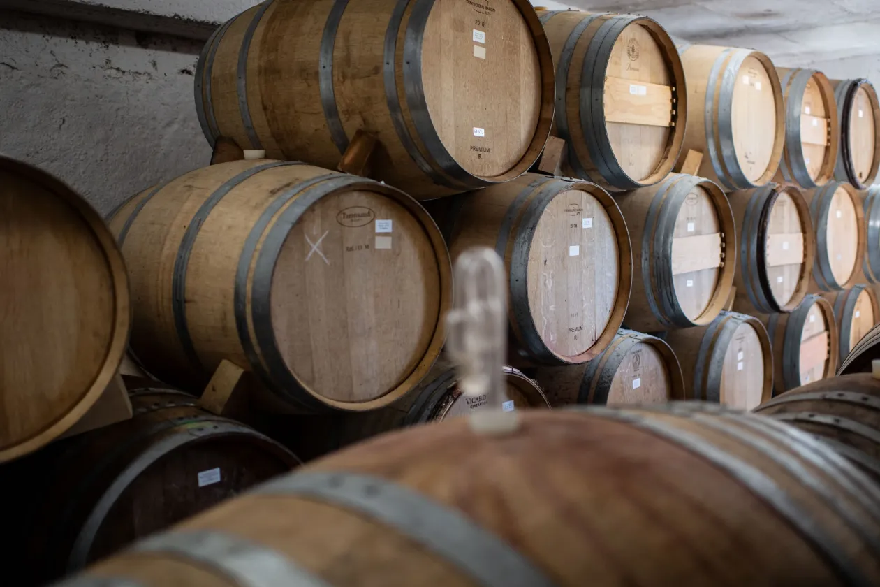 A Barnag Wines borászata Barnagon – Fotó: Bődey János / Telex