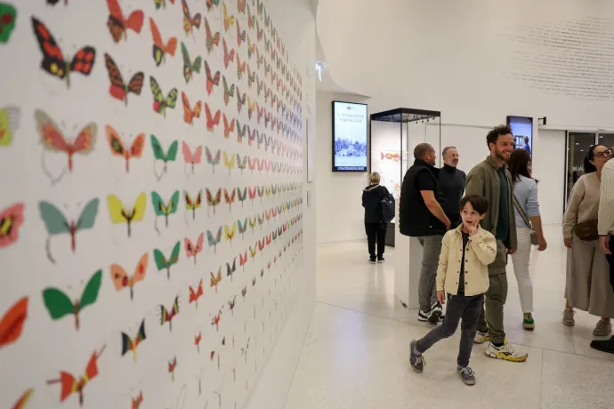 Fotó: Hajdu János / Magyar Zene Háza