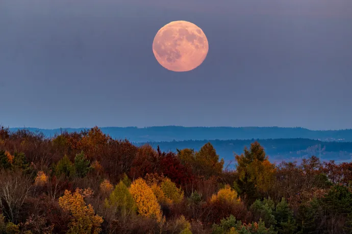 Még nem késő felnézni az égre: Hód hold, telihold!