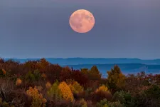 Még nem késő felnézni az égre: Hód hold, telihold!