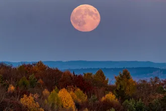 Még nem késő felnézni az égre: Hód hold, telihold!