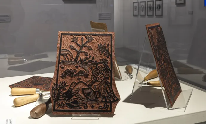 Fotó: Nyirkos Zsófia / Műcsarnok