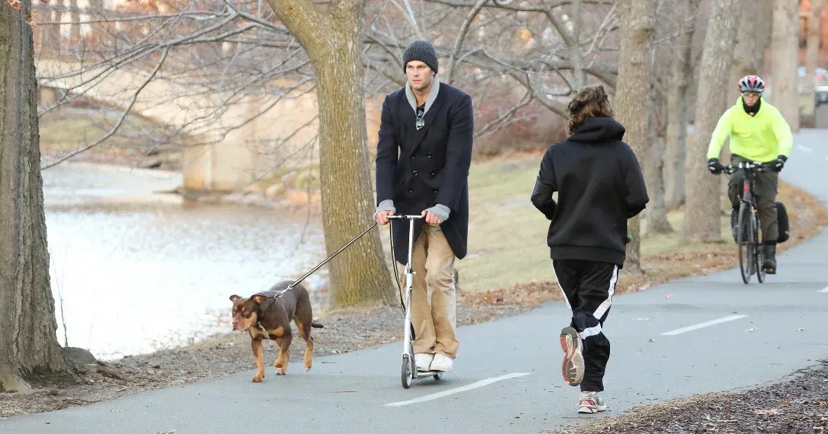 Tom Brady klónoztatta az elpusztult kutyáját