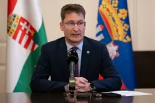 Továbbadja a Fehérvár FC-t Székesfehérvár önkormányzata, kiírták a pályázatot