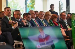 Mihez kezdene a Tisza az RMDSZ-szel?