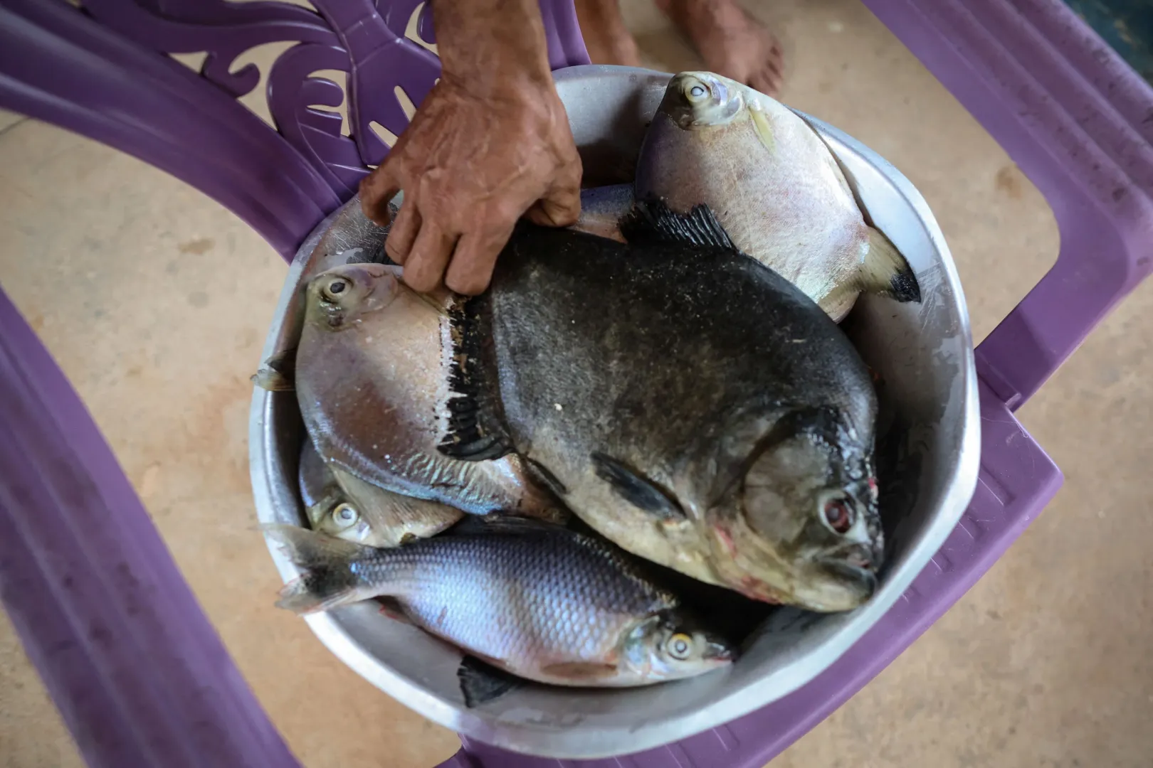 A Pedral do Lourenço szikláinál szinte biztos a halfogás, de sok más állat menedéke is a zátonyos folyószakasz – Fotó: Adriano Machado / Reuters