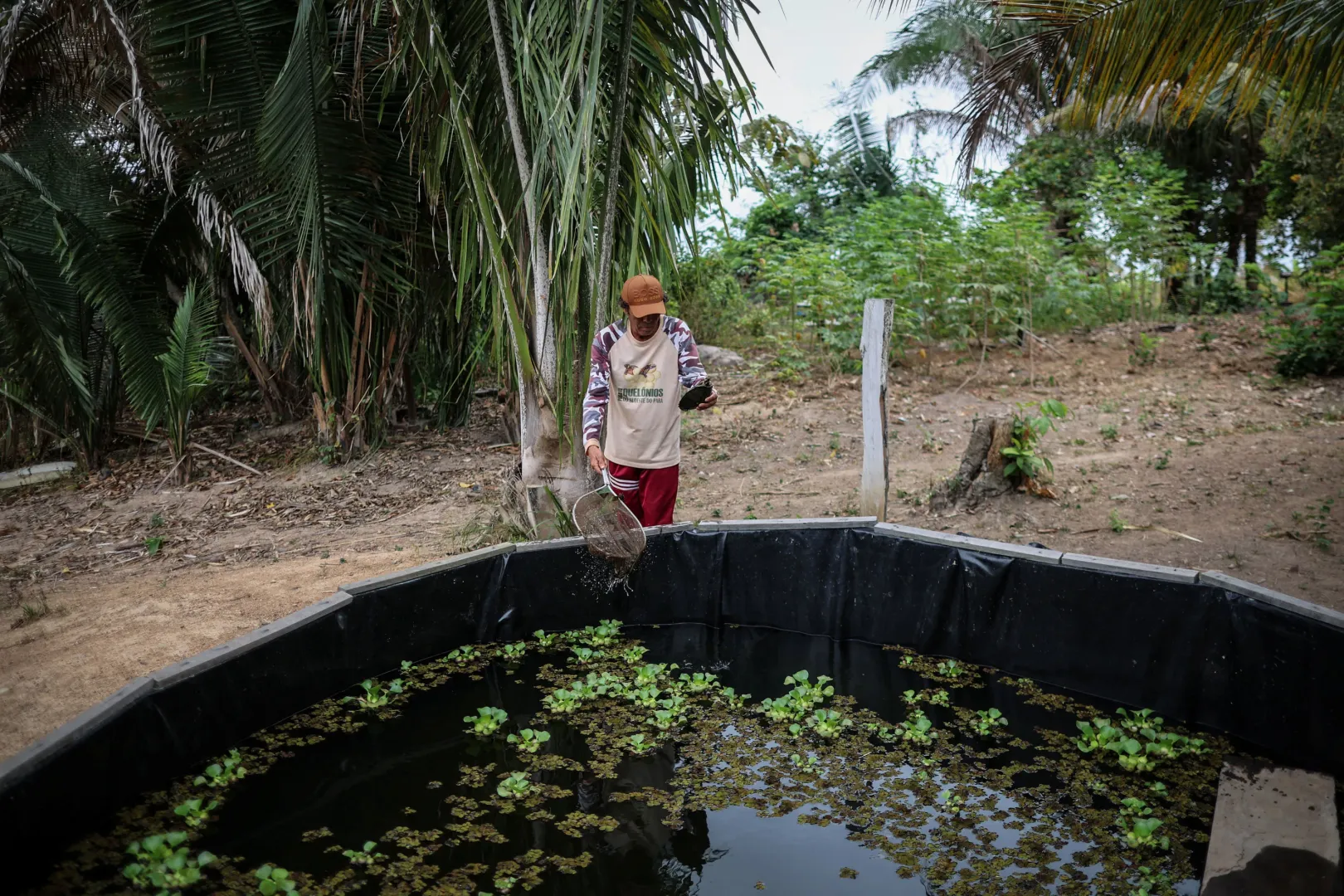 Almir Mendes Barbosa teknősöket tart egy mesterséges tavacskában – Fotó: Adriano Machado / Reuters