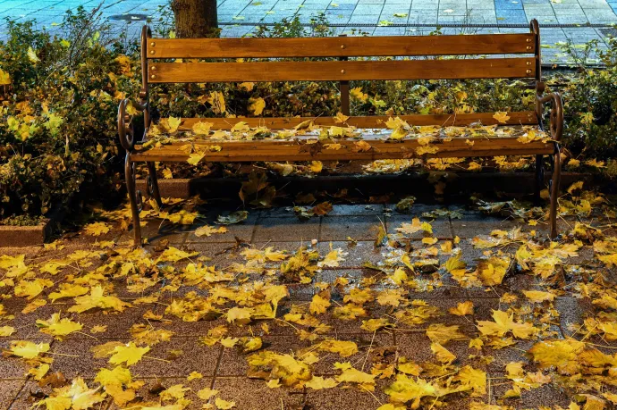 Helló, ősz, csak nem meghoztad a szürkeséget?