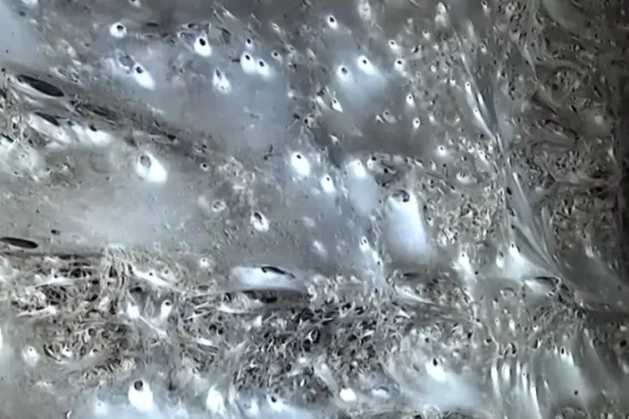 A világ talán legnagyobb pókhálójára bukkantak egy kénbarlangban