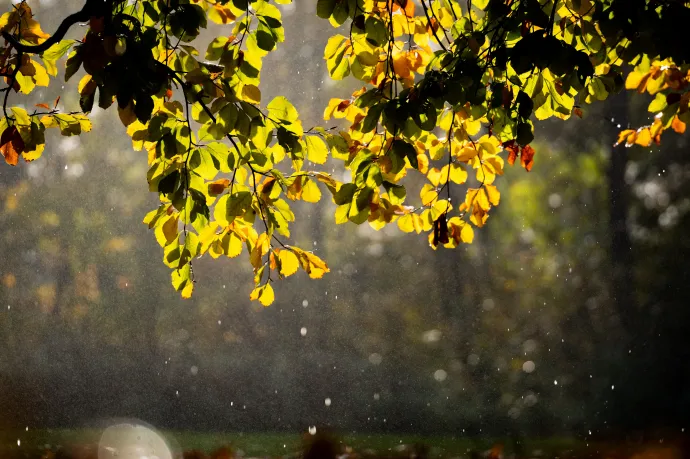 Várat magára a késő őszi hideg, 15 fok lesz a héten