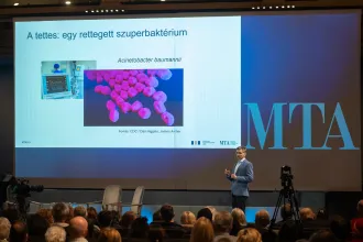 Már száz éve tudjuk, hogyan lehetne harcolni a szuperbaktériumokkal, csak megfeledkezett róla a tudomány