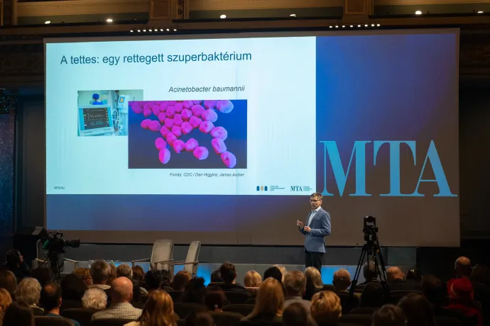 Már száz éve tudjuk, hogyan lehetne harcolni a szuperbaktériumokkal, csak megfeledkezett róla a tudomány