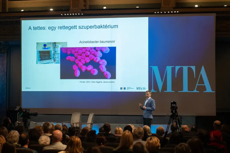 Már száz éve tudjuk, hogyan lehetne harcolni a szuperbaktériumokkal, csak megfeledkezett róla a tudomány